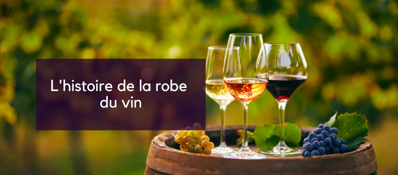 Tout ce que vous devez savoir sur la robe du vin rouge ! – Château  Saint-Roux